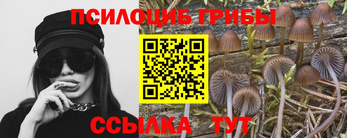 Псилоцибиновые грибы MAGIC MUSHROOMS  Вход с VPN  где купить наркотик  Новокуйбышевск 